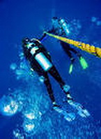 dive-1__.jpg