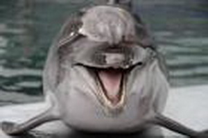 emerge__.jpg