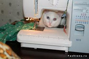sew__.jpg