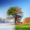Seasons