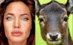Angelina Jolie