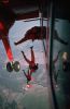 Parachute - jumping - ���������� ���������� �������
