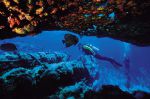 Scuba diving � �������
