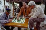 Playing chess - ������ � �������
