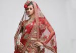 Sari